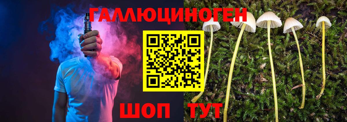 Искитим  Псилоцибиновые грибы Psilocybine cubensis  Вход с VPN  Галлюциногенные грибы ЛСД 