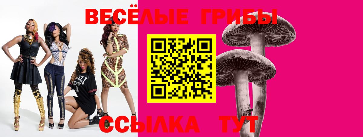 Галлюциногенные грибы Magic Shrooms Искитим
